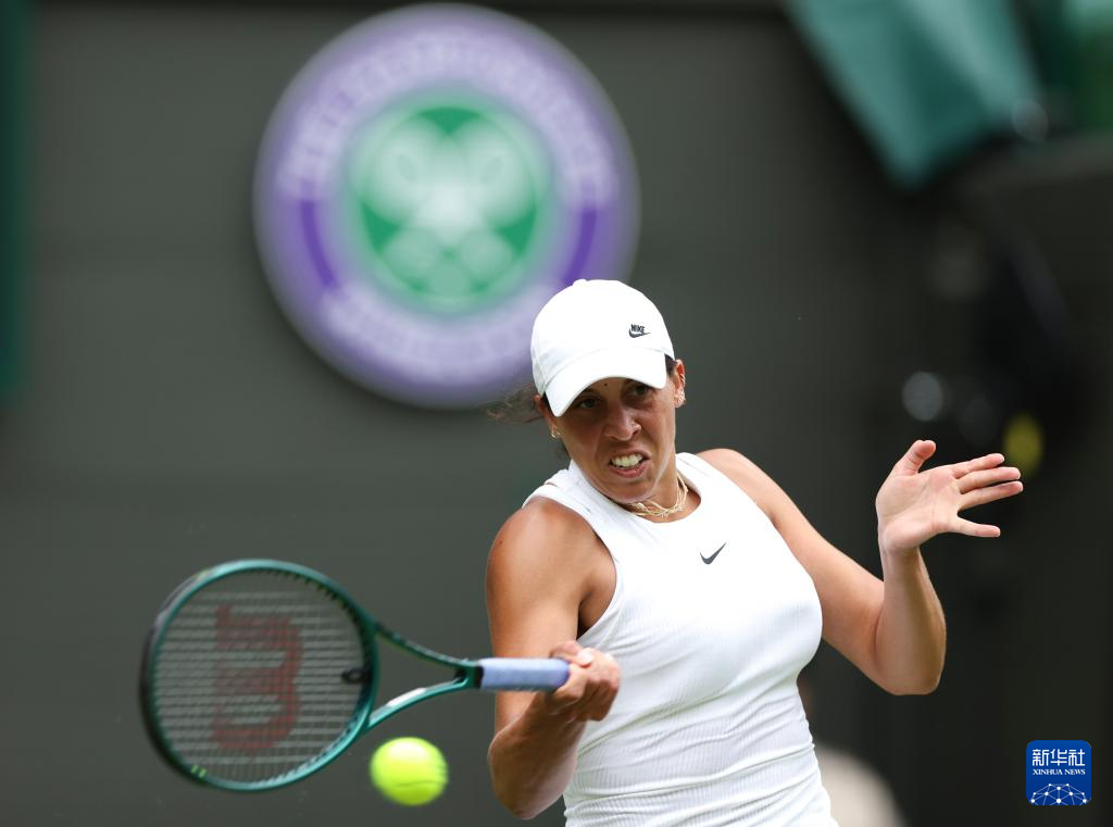 网球公开赛 网球公开赛